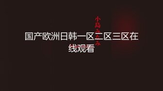 国产欧洲日韩一区二区三区在线观看