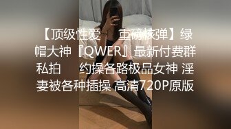 ⚫️⚫️最新8月订阅福利，硬朗猛男OF约炮大神【清醒哥xsober】日常大量肉搏骚母狗