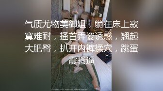 射母狗肚皮上