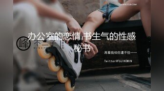 办公室的恋情 书生气的性感秘书