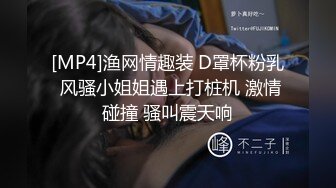 [MP4]渔网情趣装 D罩杯粉乳 风骚小姐姐遇上打桩机 激情碰撞 骚叫震天响