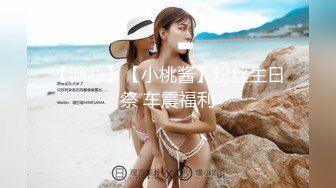 【溏心】【小桃酱】粉丝生日祭 车震福利