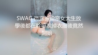 小姐姐与男奴