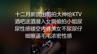 十二月新流出厕拍大神给KTV酒吧送酒潜入女厕偷拍小姐尿尿性感镂空内裤美女不尿尿仔细擦逼毛毛浓密性感