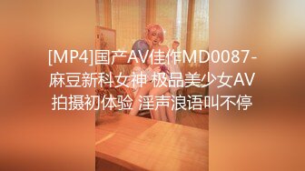 [MP4]国产AV佳作MD0087-麻豆新科女神 极品美少女AV拍摄初体验 淫声浪语叫不停