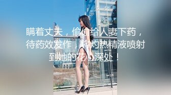 XK0003黑卡别墅 瑶贝女仆庄园 稚嫩女仆遭管家调教 星空无限传媒