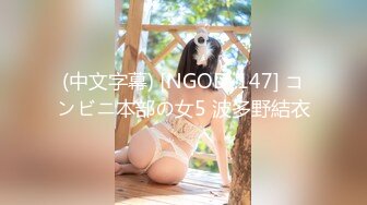 (中文字幕) [NGOD-147] コンビニ本部の女5 波多野結衣