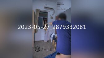 麻豆传媒 MD-0190-1 我是苏畅我回来了 男友视角湿蜜抽插之旅