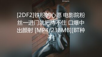 [2DF2]铁粉的心愿 电影院粉丝一进门就把持不住 口爆中出颜射 [MP4/238MB][BT种子]