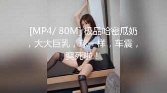 [MP4/ 80M] 极品哈密瓜奶，大大巨乳，球一样，车震，爽死啦！