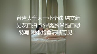 【顶级肉便妻限定??荒木薇】记录疯狂淫贱事迹 约单男无套內射 唯一不变的是一定要无套内射 订阅体验版 高清720P版