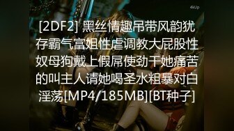 [2DF2] 黑丝情趣吊带风韵犹存霸气富姐性虐调教大屁股性奴母狗戴上假屌使劲干她痛苦的叫主人请她喝圣水粗暴对白淫荡[MP4/185MB][BT种子]