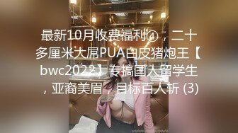 黑丝乖巧女仆化身性欲处理器