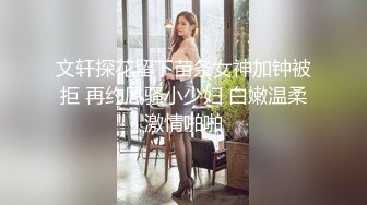 歡迎來到雛菊處女迷失俱樂部 2