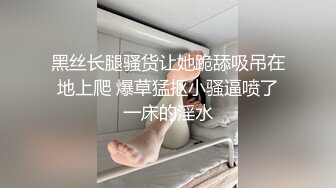 性感女仆粉嫩小穴肉棒硬生插入