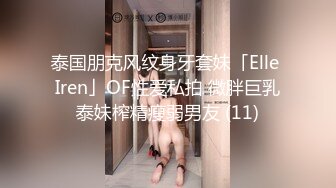 泰国朋克风纹身牙套妹「Elle Iren」OF性爱私拍 微胖巨乳泰妹榨精瘦弱男友 (11)