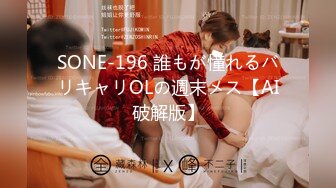 SONE-196 誰もが憧れるバリキャリOLの週末メス【AI破解版】