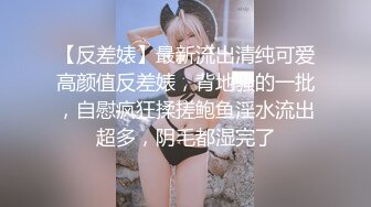 【自整理】P站amandarabbitxxx  车震 双飞 公共卫生间做爱 和情人在一起的各种性福  最新大合集【NV】 (8)