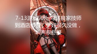 [adn-421] 愛人女上司とセックスをする為だけの相部屋出張 夏目彩春