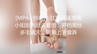 我的骚逼老婆2