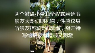 链子内衣网红女神，极品美腿高跟鞋，搔首弄姿，双指抽插扣穴，震动棒磨蹭，让人欲罢不能