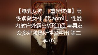 【爆乳女神❤️重磅核弹】高铁紫薇女神『Naomii』性爱内射户外露出VIP订阅 与男友众多刺激场所性爱中出 第二季 (6)