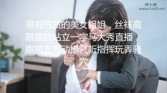 【自制字幕系列】第15弹 探花剪辑版6部，长达个把小时的探花剪辑成两分钟左右的剧情(中文字幕版)！