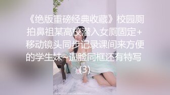 噼里啪啦动漫在线观看免费