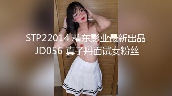 《云盘高质㊙️露脸泄密》国语对话，东北淫荡饥渴人妻美少妇真实约啪被个很会打炮的肥猪仔肏，频率低但有力下下到底尖叫