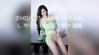 [FHD/5.25G]ABW-029 中出し やりたい放題 7 野々浦暖【BVPP】