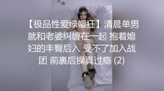 商场女厕全景后拍多位小姐姐尿尿各种美鲍一一展示 (2)