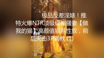 欧美vixen公司出品系列,(7)