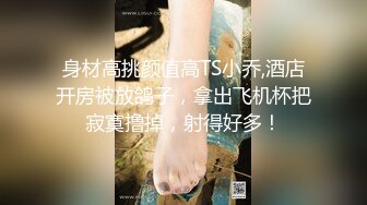 沈樵第二部国产一姐裸替演员沈樵作品.火车偶遇前男友