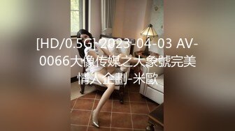 [HD/0.5G] 2023-04-03 AV-0066大像传媒之大象號完美情人企劃-米歐