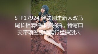 摄影师大神【huafox】唯美风格专业国模私拍，女神众多，露脸的不少，推荐一看