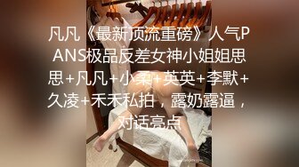 凡凡《最新顶流重磅》人气PANS极品反差女神小姐姐思思+凡凡+小柔+英英+李默+久凌+禾禾私拍，露奶露逼，对话亮点