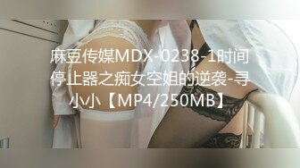 麻豆传媒MDX-0238-1时间停止器之痴女空姐的逆袭-寻小小【MP4/250MB】