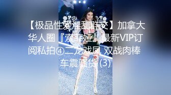 【极品性爱淫乱群交】加拿大华人圈『索菲娅』最新VIP订阅私拍④二龙戏凤 双战肉棒 车震骚货 (3)