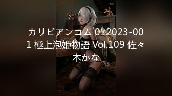 HEYZO 2947 美麗なお姉さんに身を任せてどスケベなことしちゃいました！Vol.2 – 佐伯エリ