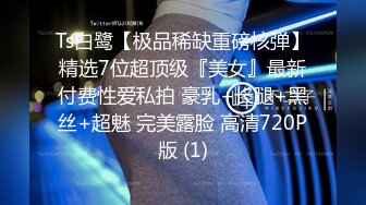 Ts白鹭【极品稀缺重磅核弹】精选7位超顶级『美女』最新付费性爱私拍 豪乳+长腿+黑丝+超魅 完美露脸 高清720P版 (1)