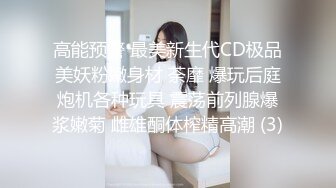 女優的SM初體驗 莉娜 大象传媒