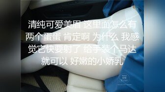 清纯可爱美眉 这里面怎么有两个蛋蛋 肯定啊 为什么 我感觉它快要射了 给手装个马达就可以 好嫩的小娇乳