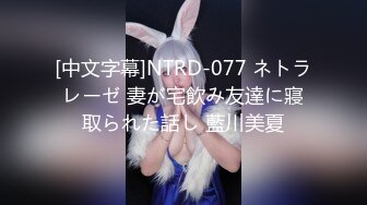 [中文字幕]NTRD-077 ネトラレーゼ 妻が宅飲み友達に寢取られた話し 藍川美夏