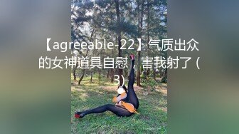 【agreeable-22】气质出众的女神道具自慰，害我射了 (3)