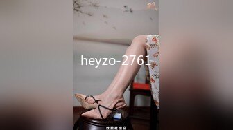 heyzo-2761