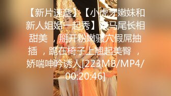 [MP4]清纯175车模 高颜值明星脸