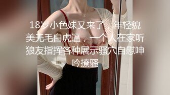 XKTC033 月牙 岳父过生日女婿找个女技师服侍 星空无限传媒