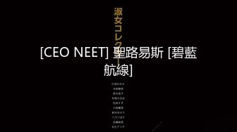 [CEO NEET] 聖路易斯 [碧藍航線]