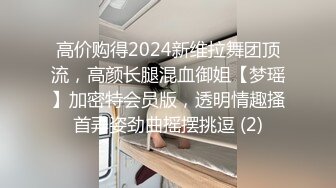 惩罚小母狗