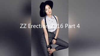 ZZ Erection 2016 Part 4